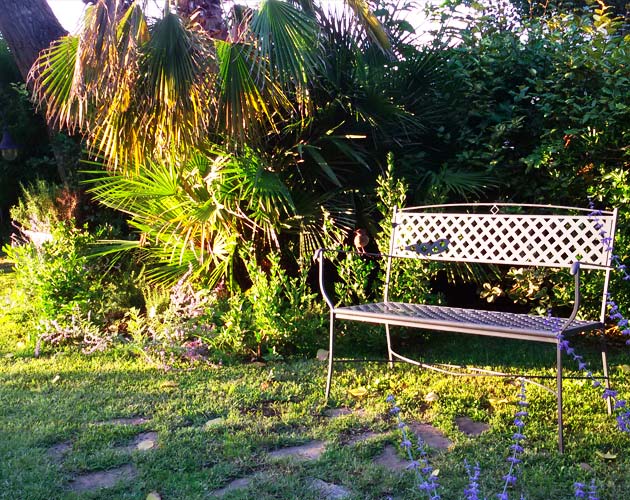 Bench in the garden